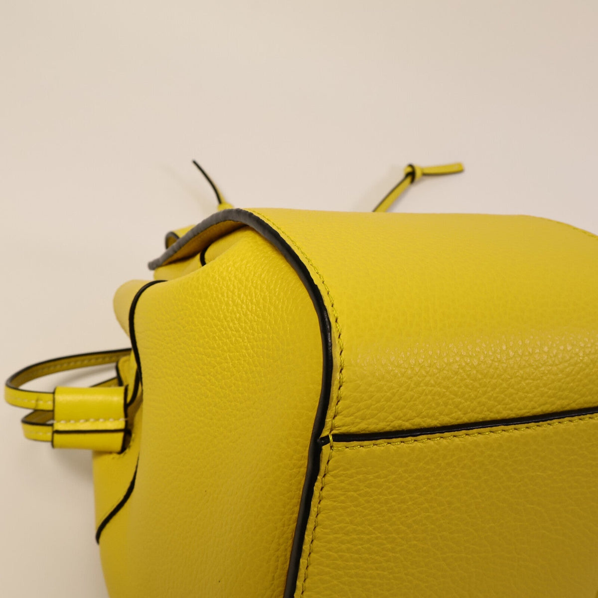 Loewe Hammock Mini · Calfskin