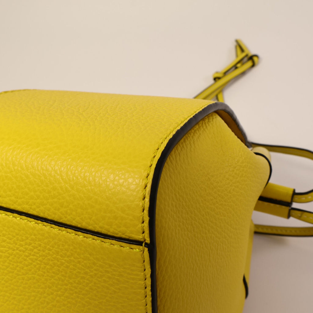 Loewe Hammock Mini · Calfskin