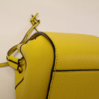 Loewe Hammock Mini · Calfskin