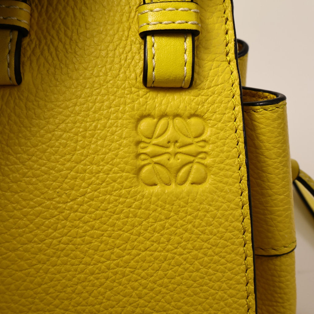 Loewe Hammock Mini · Calfskin
