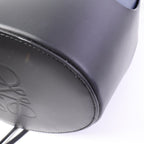 Loewe Balloon Medium · Calfskin