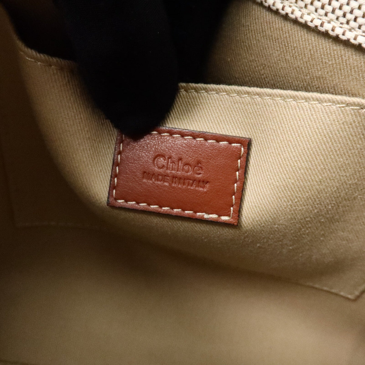 Chloé Mini Woody · Canvas