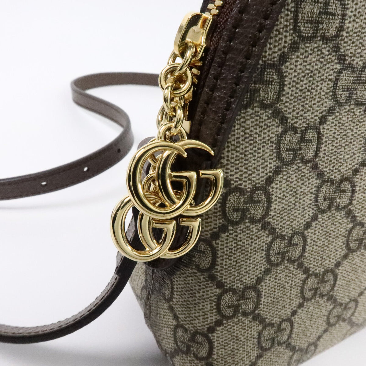 GUCCI Ophidia GG · Coated Canvas