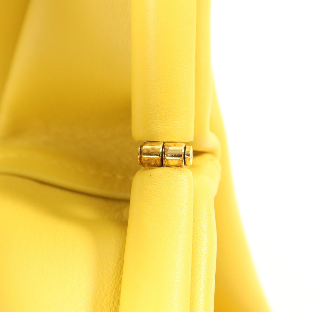 Bottega Veneta Mirabelle · Calfskin