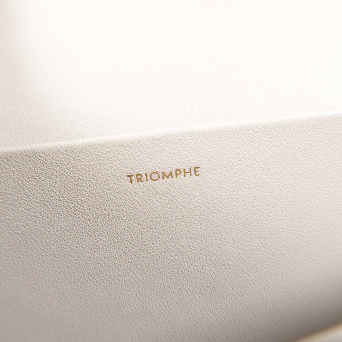 Celine Triomphe Medium · Calfskin
