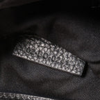 Dior Mini Roller · Canvas · Two-Way Bag