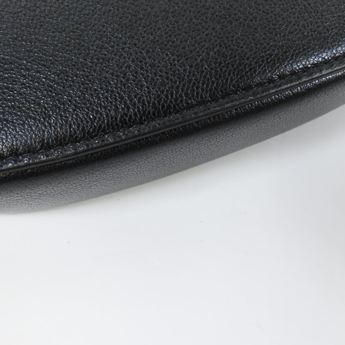 Dior Saddle Rodeo · Goatskin