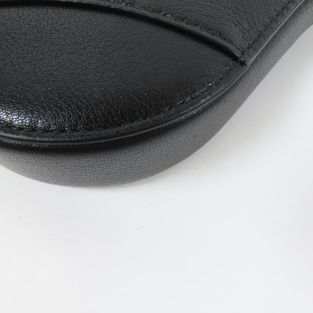 Dior Saddle Rodeo · Goatskin