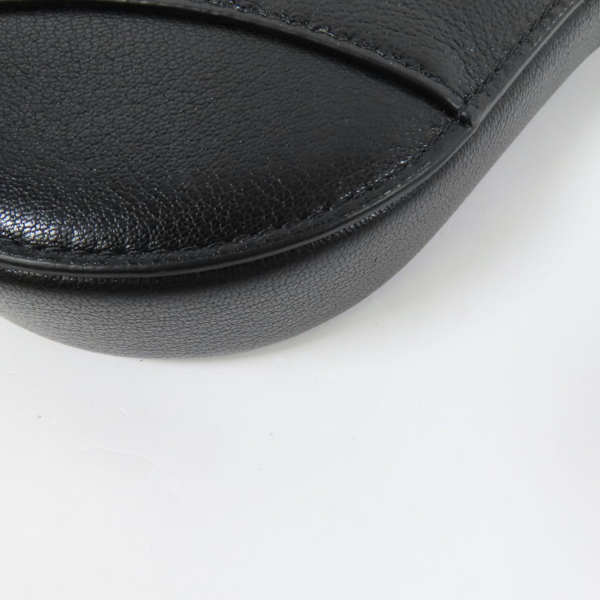 Dior Saddle Rodeo · Goatskin