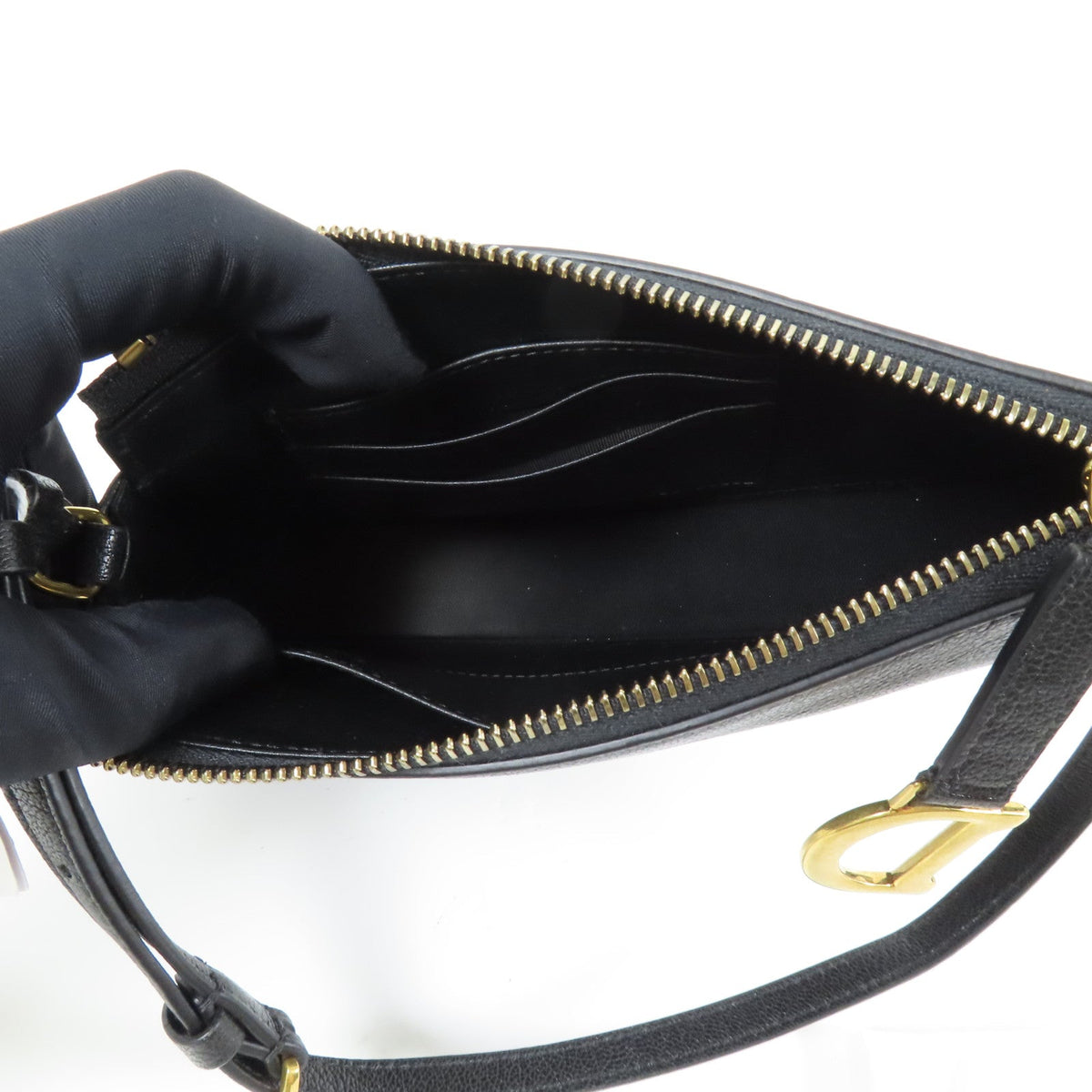 Dior Saddle Rodeo · Goatskin