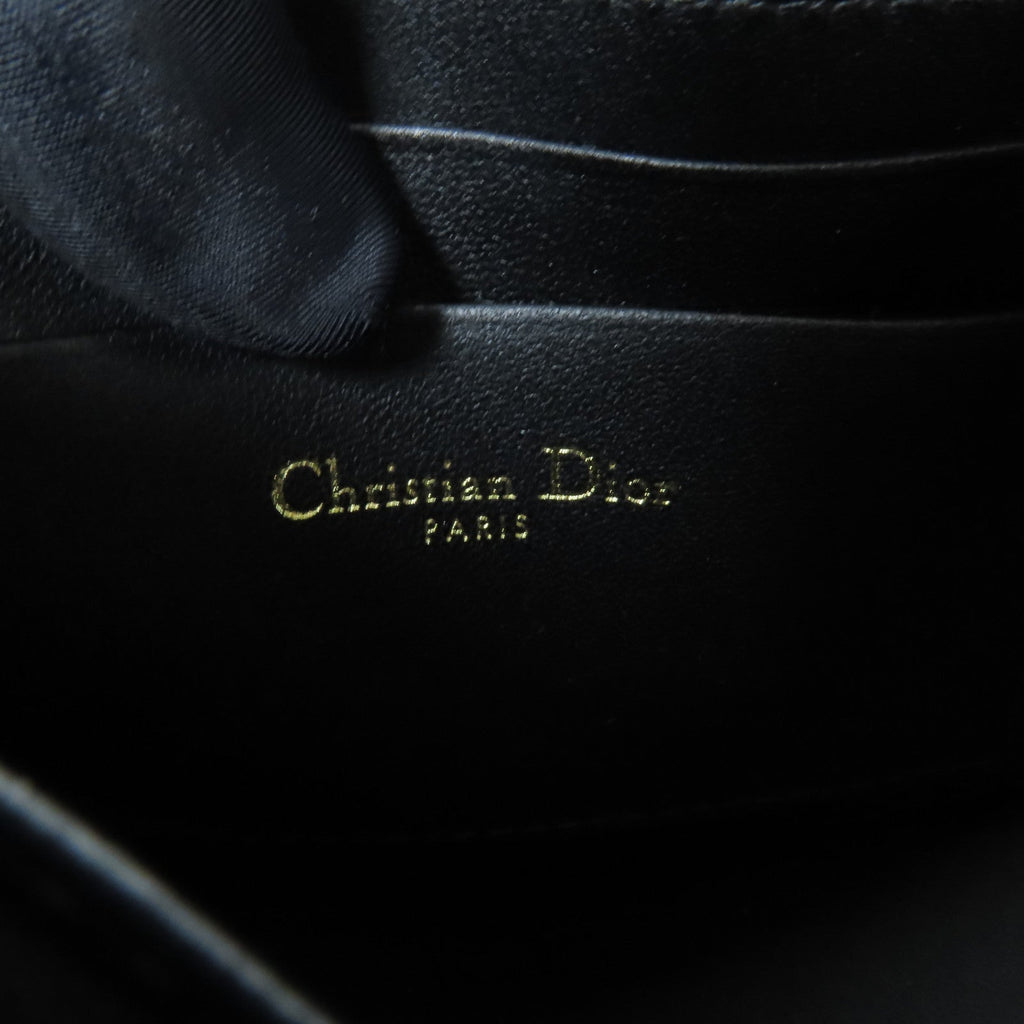 Dior Saddle Rodeo · Goatskin