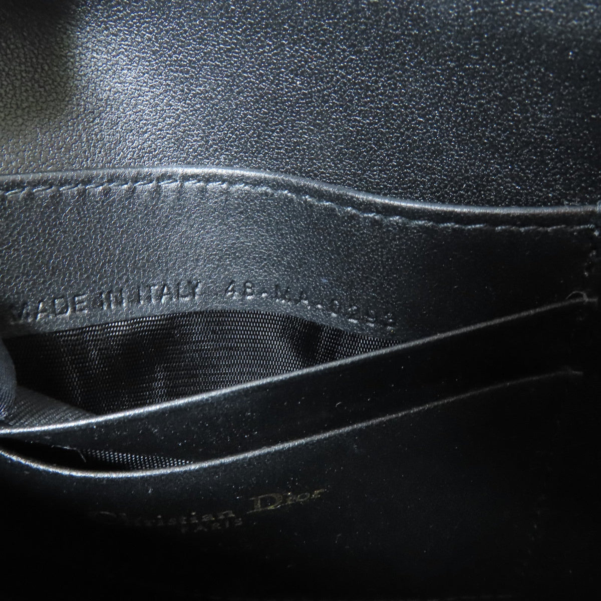Dior Saddle Rodeo · Goatskin