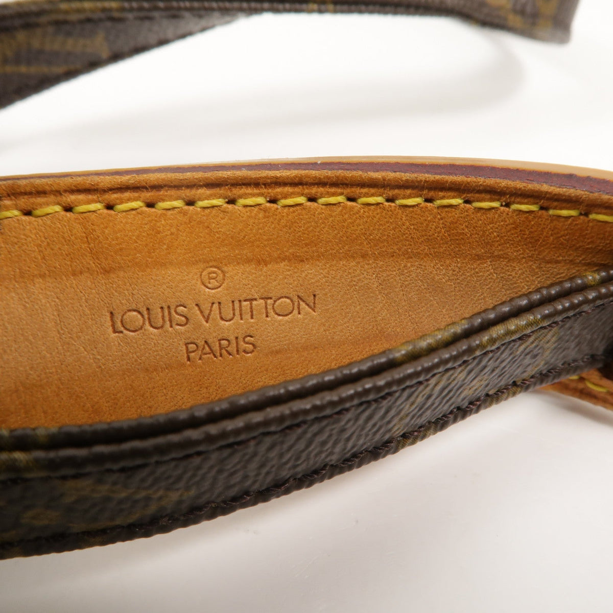 Louis Vuitton Amazon · Monogram Canvas