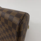 Louis Vuitton Ribera MM · Damier Ebene