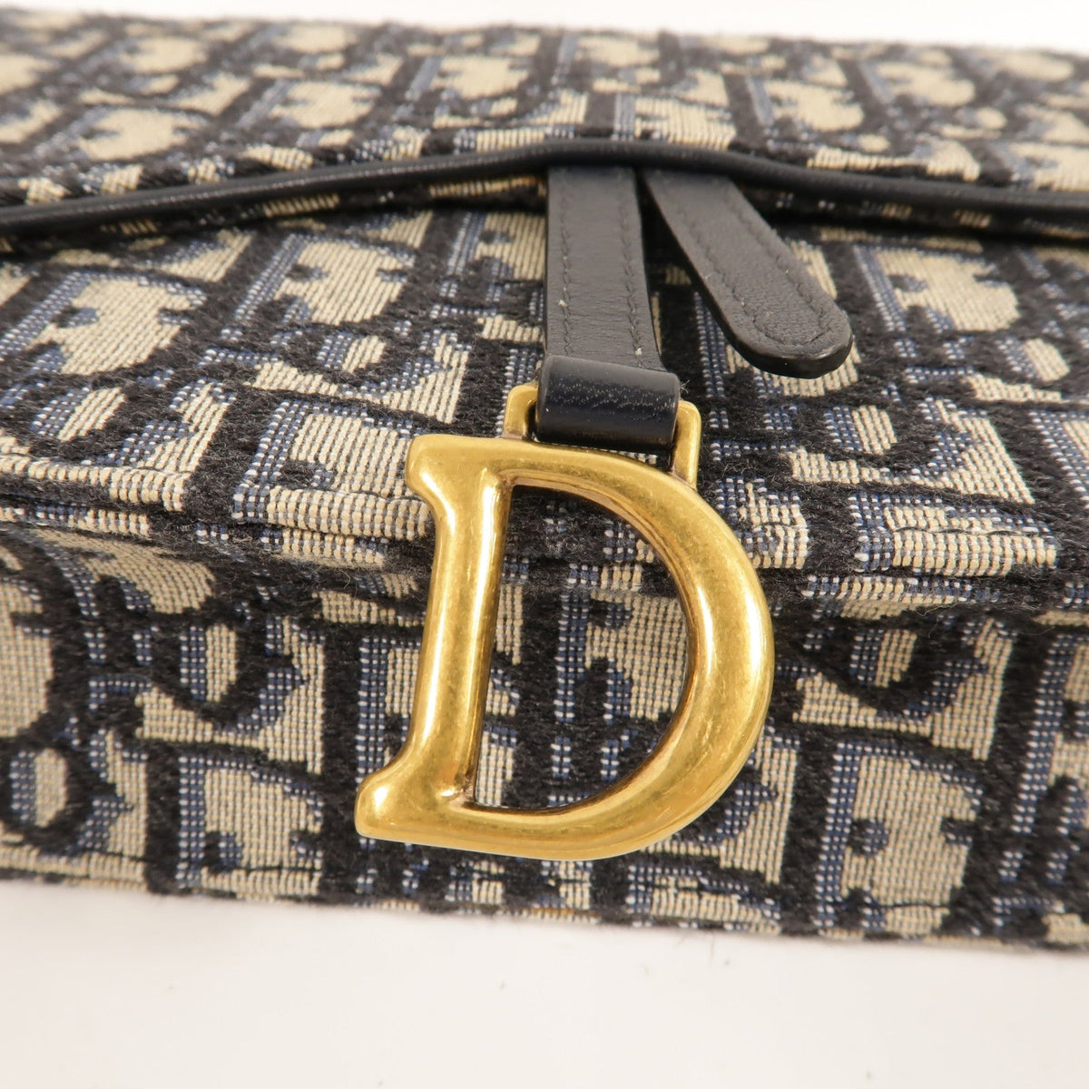 Dior Saddle Wallet on Chain · Canvas