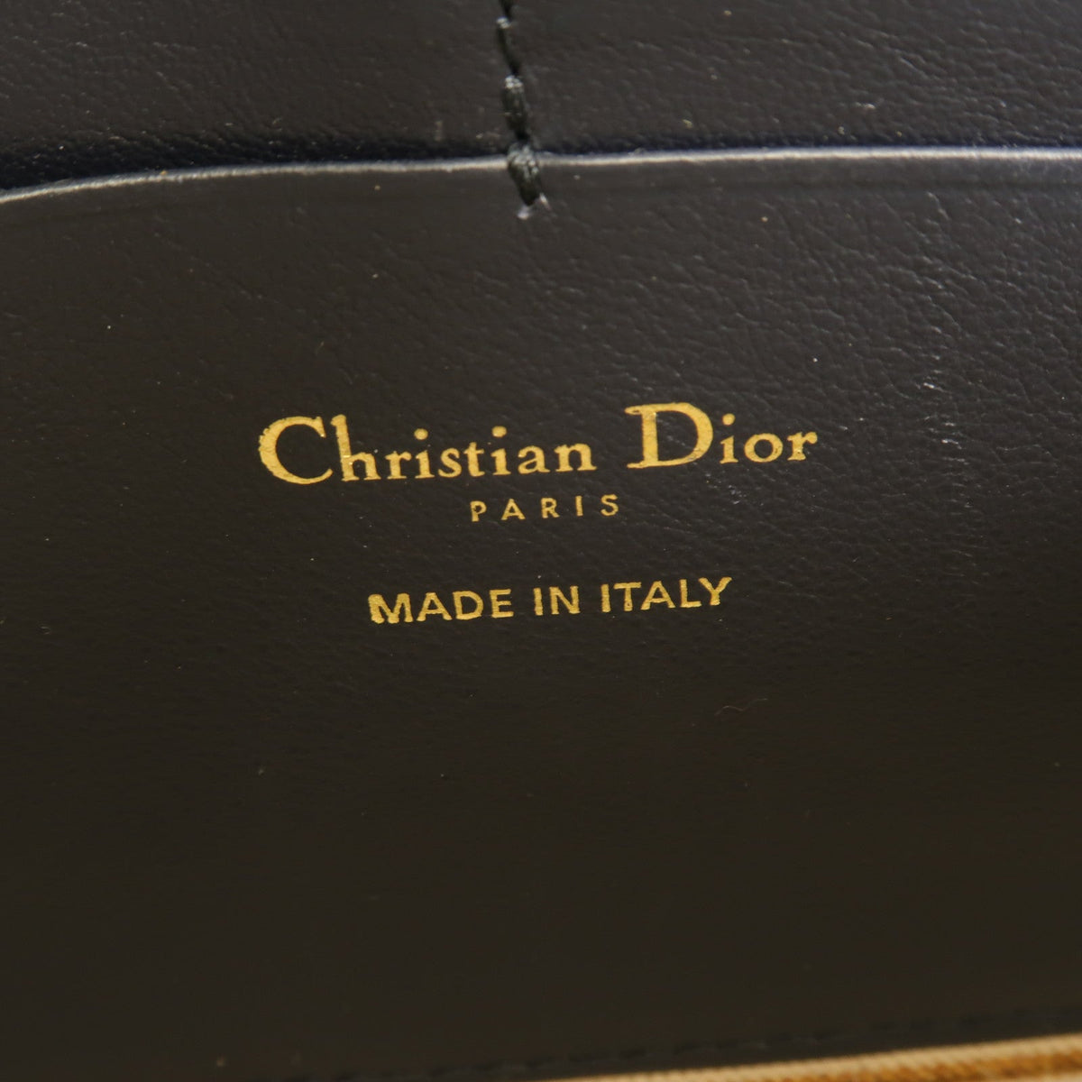 Dior Saddle Wallet on Chain · Canvas