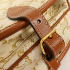 Celine Foloco Medium · Triomphe Canvas