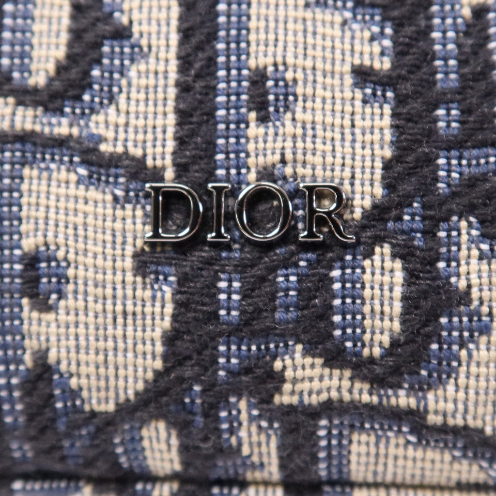 Dior Safari · Calfskin Canvas