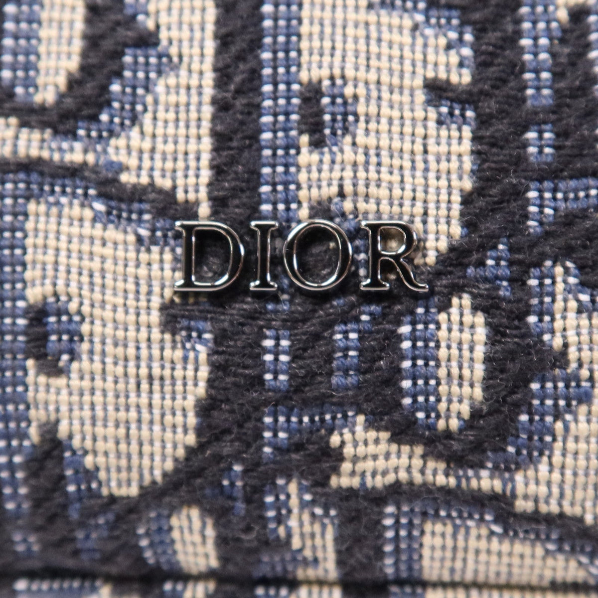 Dior Safari · Calfskin Canvas