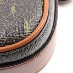 SAINT LAURENT Le Monogramme Camera · Canvas