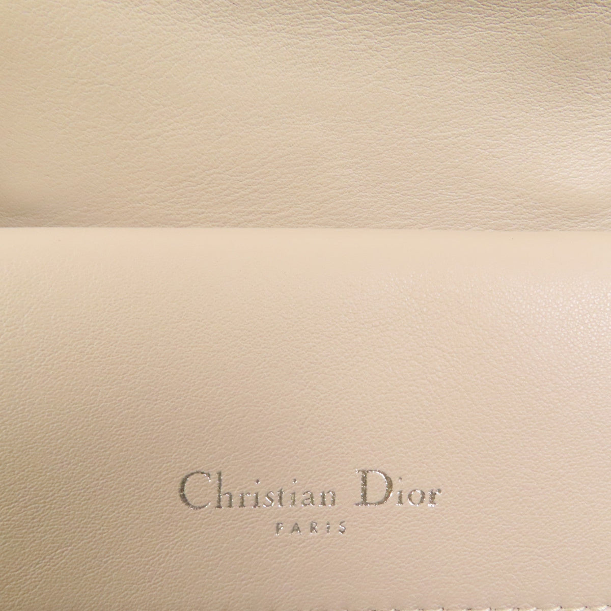 Dior Be Dior Medium · Calfskin