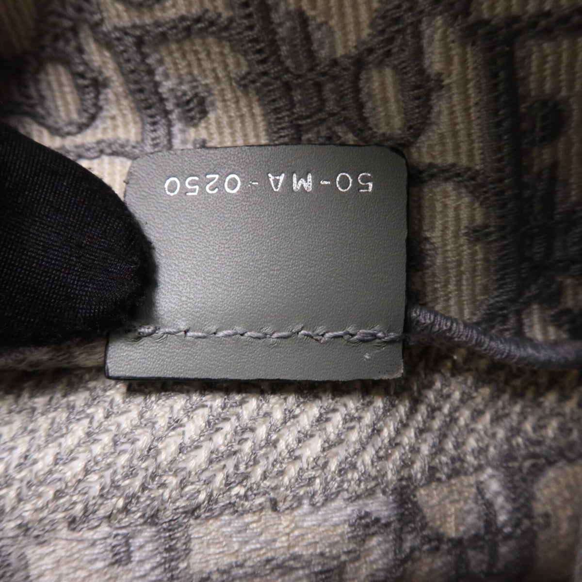 Dior Diorcamp · Medium · Canvas