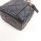 Chanel Vanity Case · Lambskin