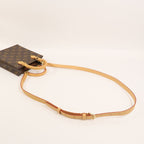 Louis Vuitton Petit Sac Plat · Monogram