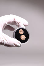 Stone Age Beads from the Sahara Desert
