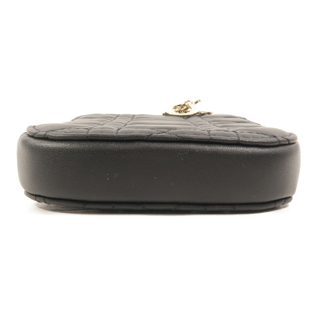 Dior Caro · Lambskin Chain Bag