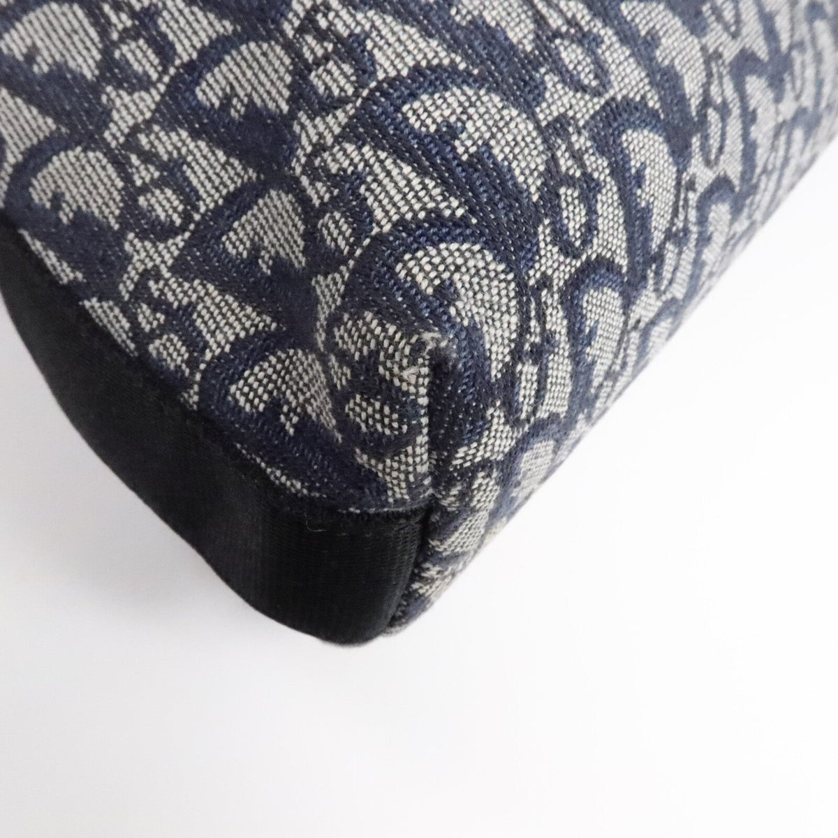 Dior Trotter · Canvas Crossbody
