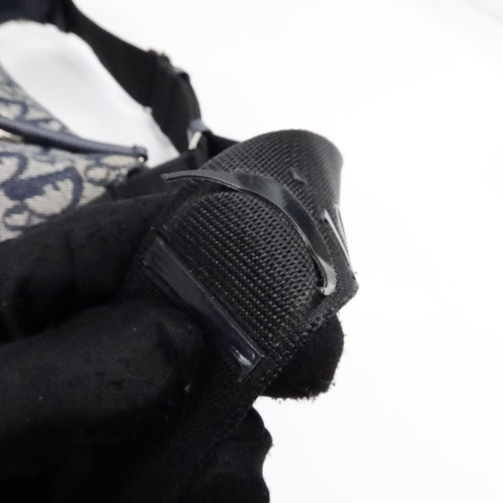 Dior Trotter · Canvas Crossbody