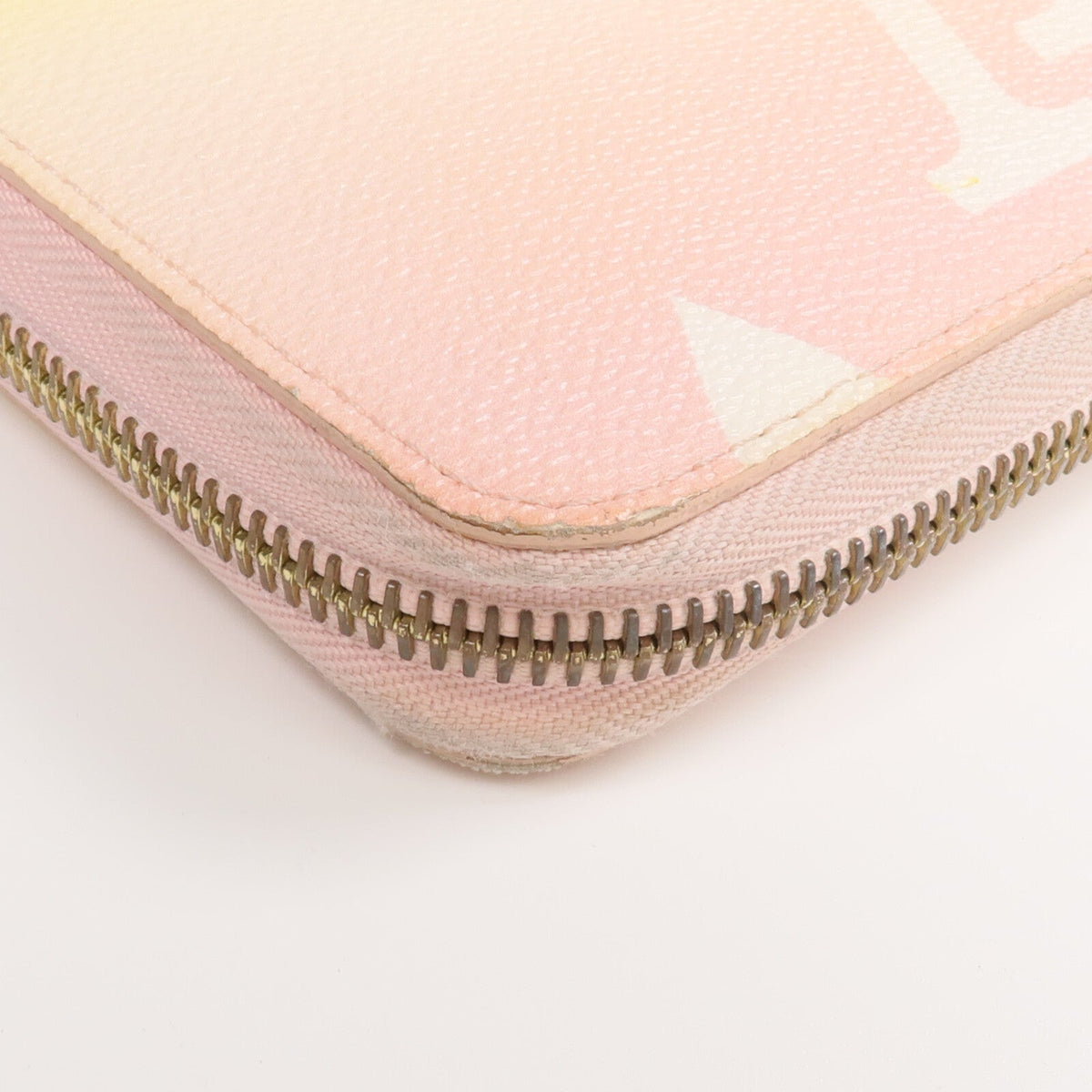 Louis Vuitton Zippy · By The Pool · Monogram
