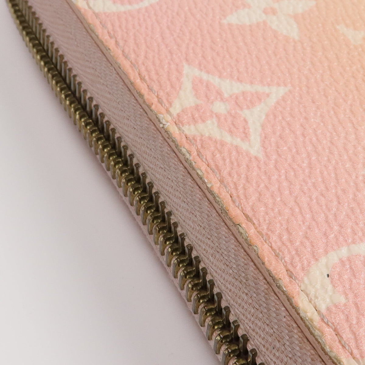 Louis Vuitton Zippy · By The Pool · Monogram