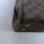 Louis Vuitton Trevi · Damier
