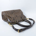 Louis Vuitton Trevi · Damier