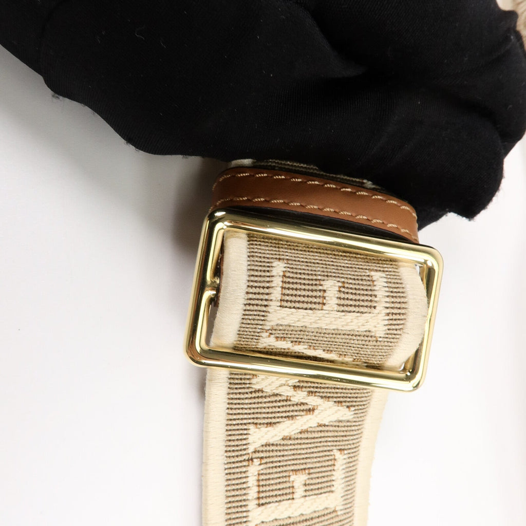 Loewe Mini Gate · Calfskin