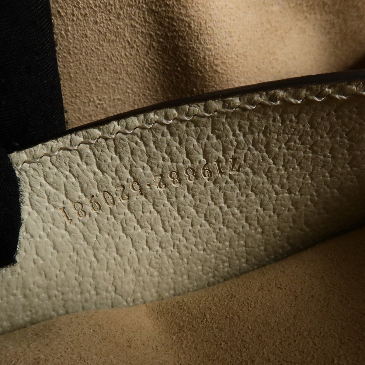 Gucci Ophidia · Calfskin