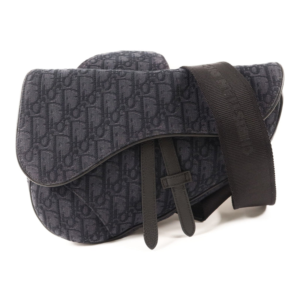 Dior Saddle Bag · Canvas