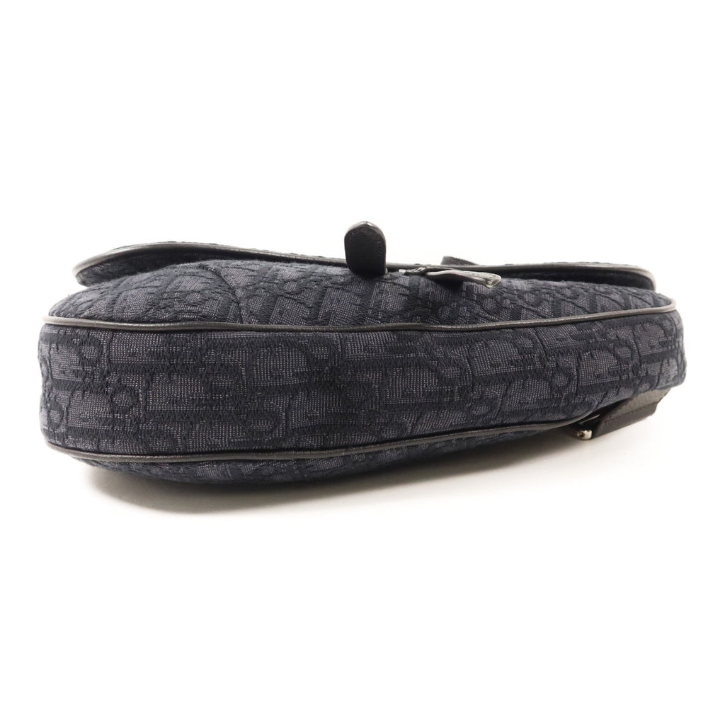 Dior Saddle Bag · Canvas