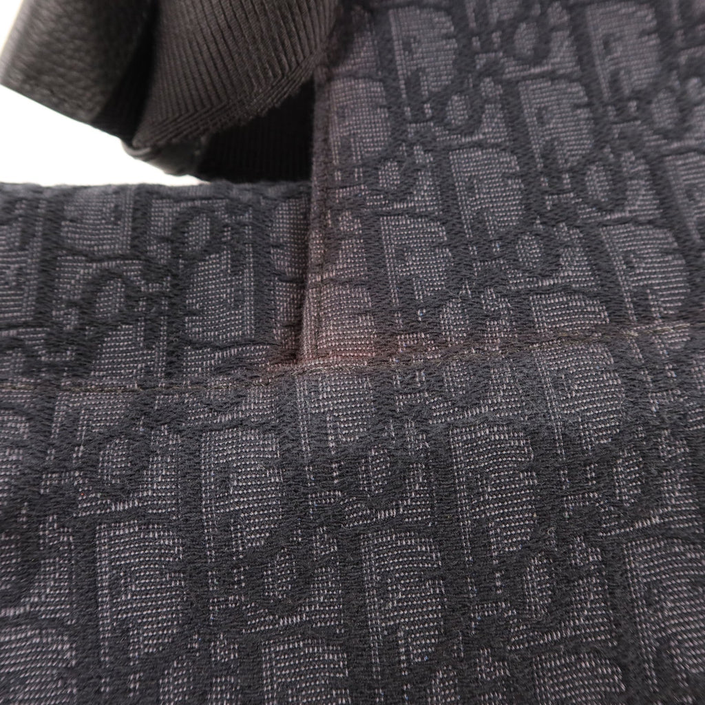 Dior Saddle Bag · Canvas