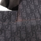 Dior Saddle Bag · Canvas