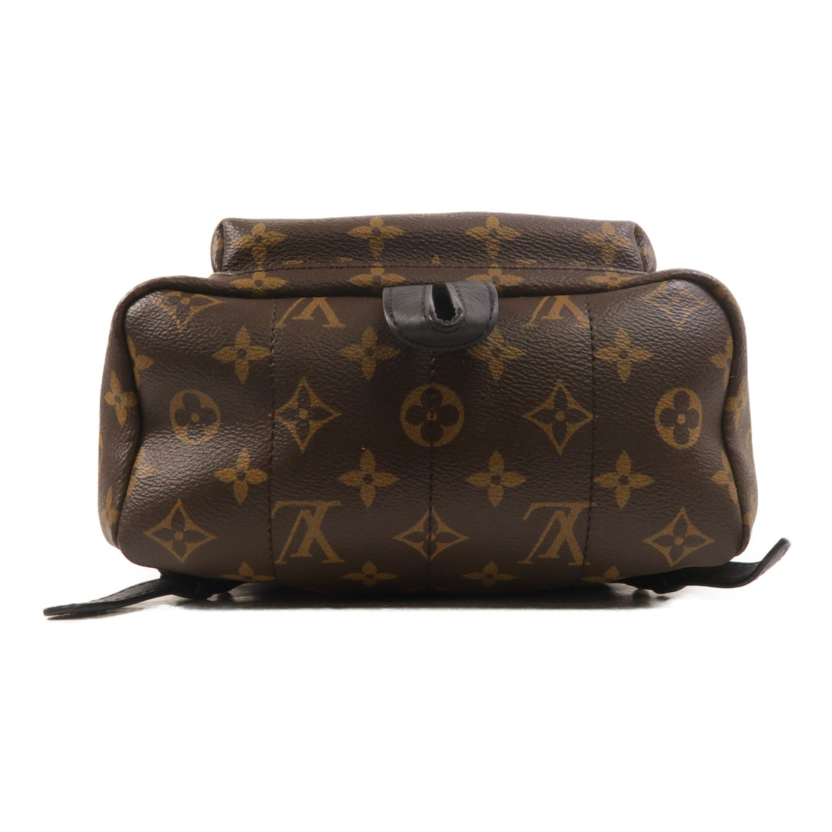 Louis Vuitton Palm Springs PM · Monogram