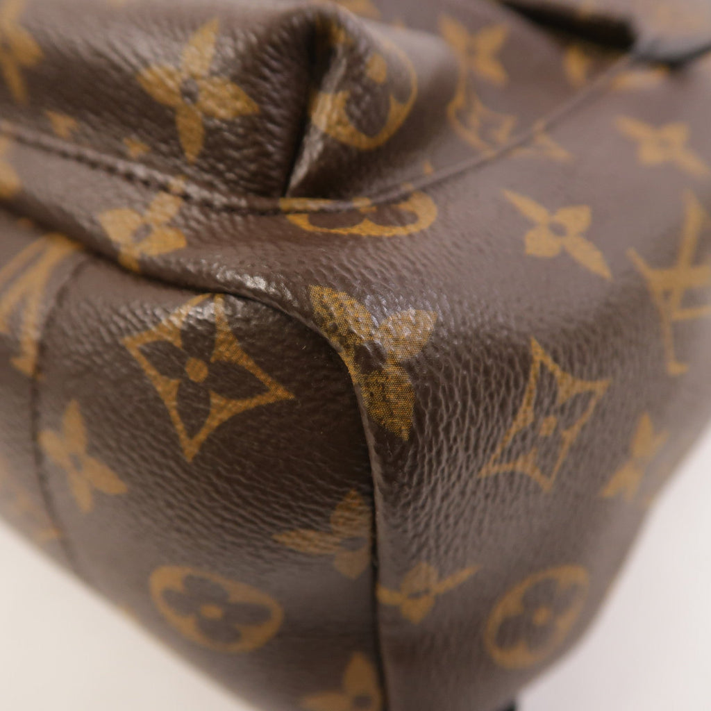 Louis Vuitton Palm Springs PM · Monogram