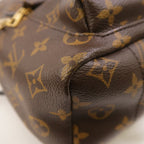 Louis Vuitton Palm Springs PM · Monogram