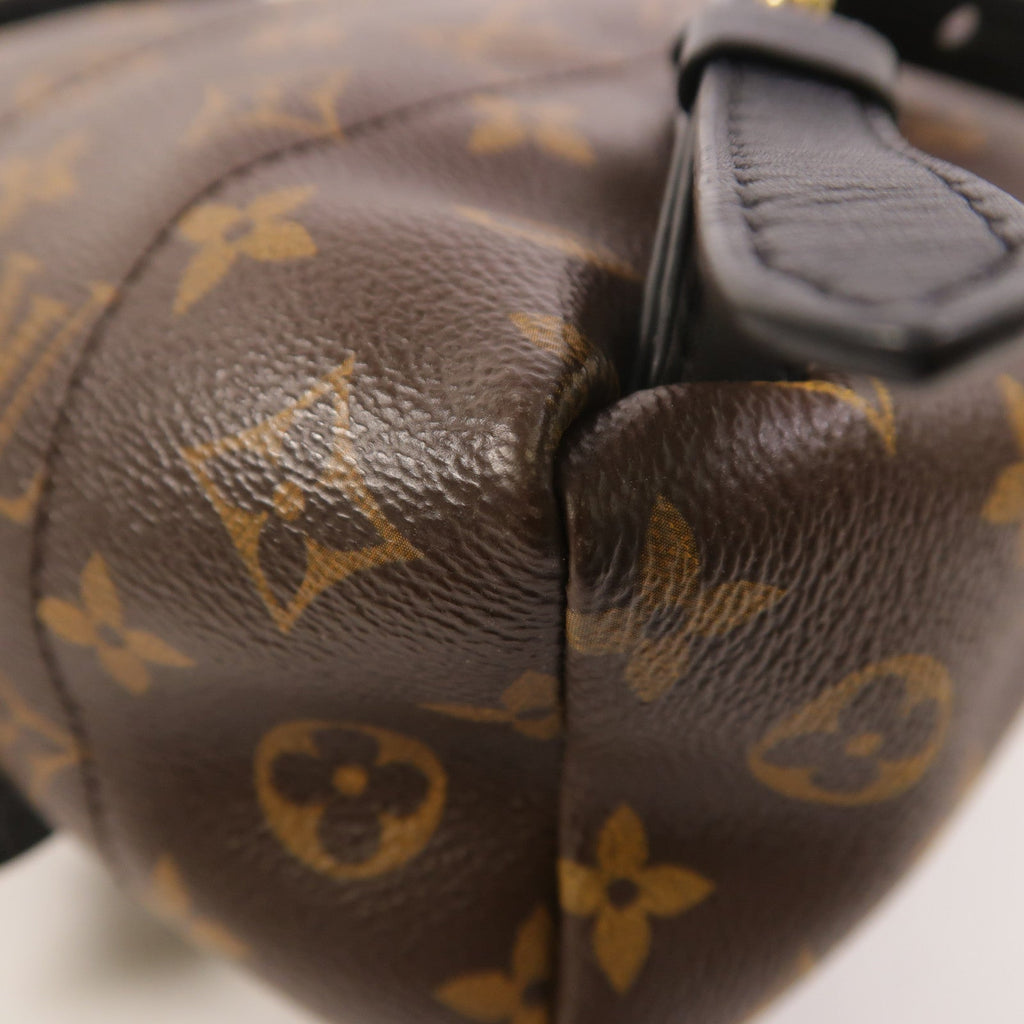 Louis Vuitton Palm Springs PM · Monogram