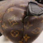 Louis Vuitton Palm Springs PM · Monogram