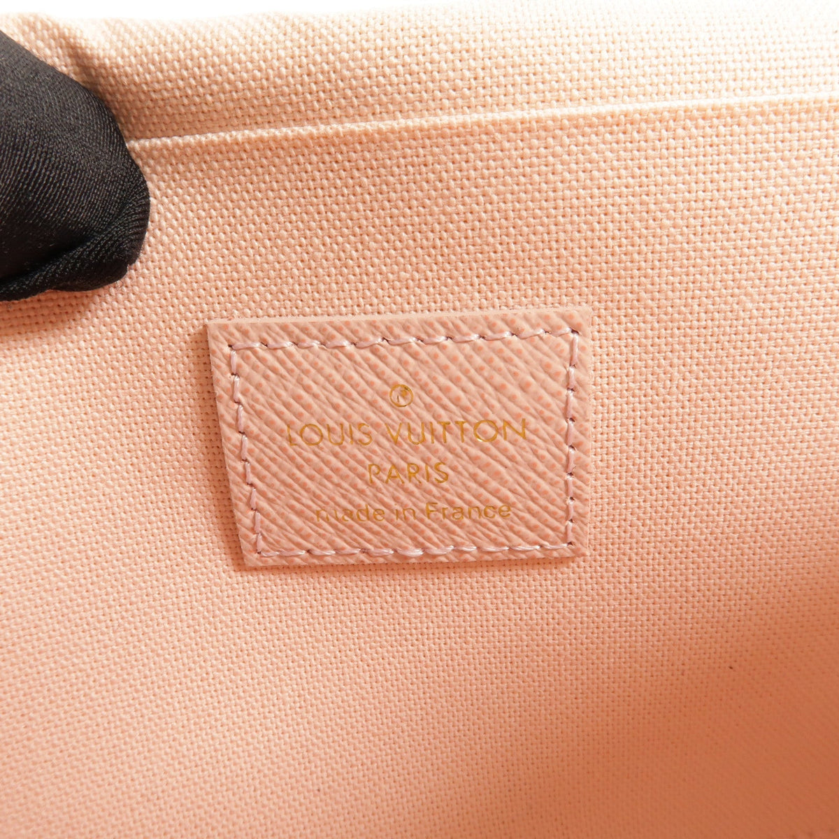 Louis Vuitton Felicie · Lovely Birds · Monogram