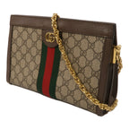 GUCCI Ophidia GG Chain Shoulder · Canvas