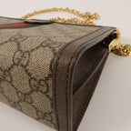 GUCCI Ophidia GG Chain Shoulder · Canvas